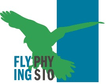 Flying Physio Giovanoli image