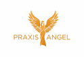 Image Praxis Angel