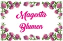 Magenta Blumen - Kishta image