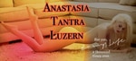 Image Anastasia Tantra Luzern