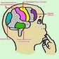 Bild EEG-Neurofeedback Praxis