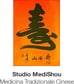 Studio MediShou image
