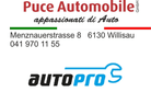 Puce Automobile GmbH image