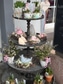 Bild Floristicum
