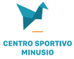 CSM Centro Sportivo Minusio SA image