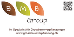 BMB Group - Neupflanzungen image