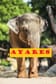 Ayaresthaimassage image