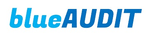 Image blueAUDIT GmbH