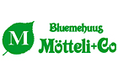Bluemehuus Mötteli + Co. image