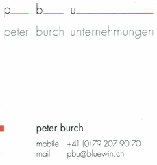 image of Pbu Peter Burch Unternehmungen 
