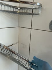 Futura & Management Facility GmbH image