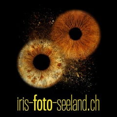 Bild Iris Photo Seeland
