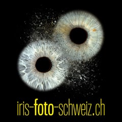Bild Iris Foto Schweiz
