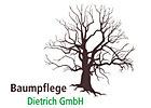 Immagine Baumpflege Dietrich GmbH