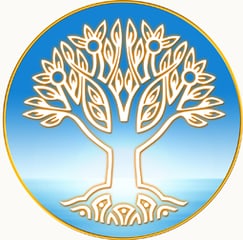 image of Institut Maharishi 