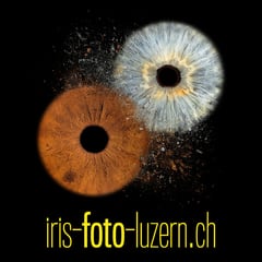 Bild Iris Foto Luzern