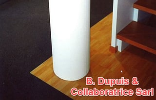 image of Dupuis B. & Collaboratrice Sàrl 