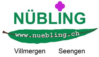 image of Nübling AG Gartenbau und Landschaftsarchitektur 