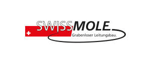 Swissmole AG image