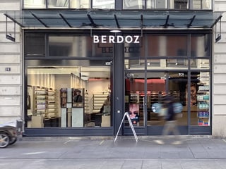 Berdoz Vision & Audition - Rive image