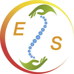 image of es physiotherapie 
