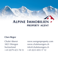 Bild Alpine Immobilien Property Agent