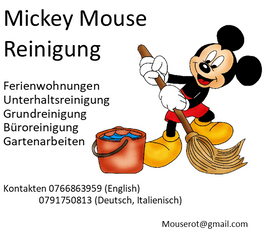 image of Mickey Mouse Reinigung 