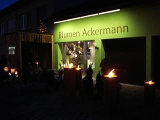 image of Ackermann Urs 