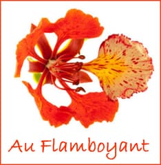 Immagine Au Flamboyant