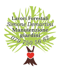 Immagine Simone Demartini manutenzione giardini e lavori forestali sagl