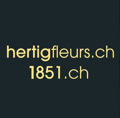 image of hertigfleurs.ch 