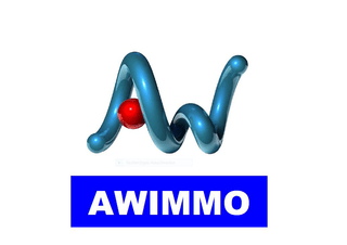AWIMMO AG image