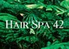 image of Hairspa 42 