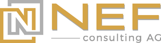 Nef Consulting AG image