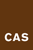 CAS Gruppe AG image