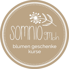 Photo Somnio GmbH