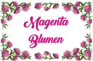 Bild Magenta Blumen - Kishta