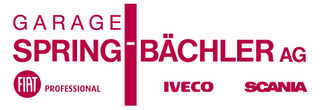 image of Spring-Bächler AG 