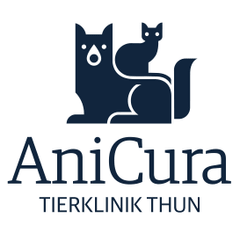 Immagine AniCura Tierklinik Thun AG