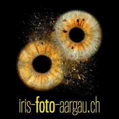 Bild Iris Foto Aargau