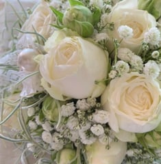 Photo Töpferei u- Blumen Steiner GmbH