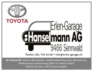 Bild Hanselmann AG Erlen-Garage