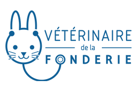 Bild von Cabinet Vétérinaire de la Fonderie