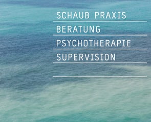image of Schaub Praxis 