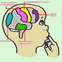 Bild von EEG-Neurofeedback Praxis