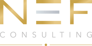 Immagine Nef Consulting