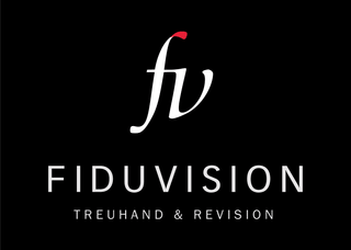 FIDUVISION (Zürich) AG image