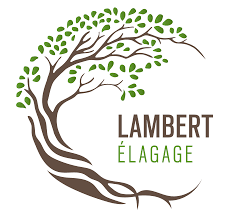 Lambert élagage image