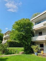 Bild Atlas Baumpflege KlG