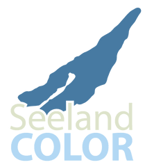 Photo Seeland Color Maler- und Gipsergeschäft Hügli